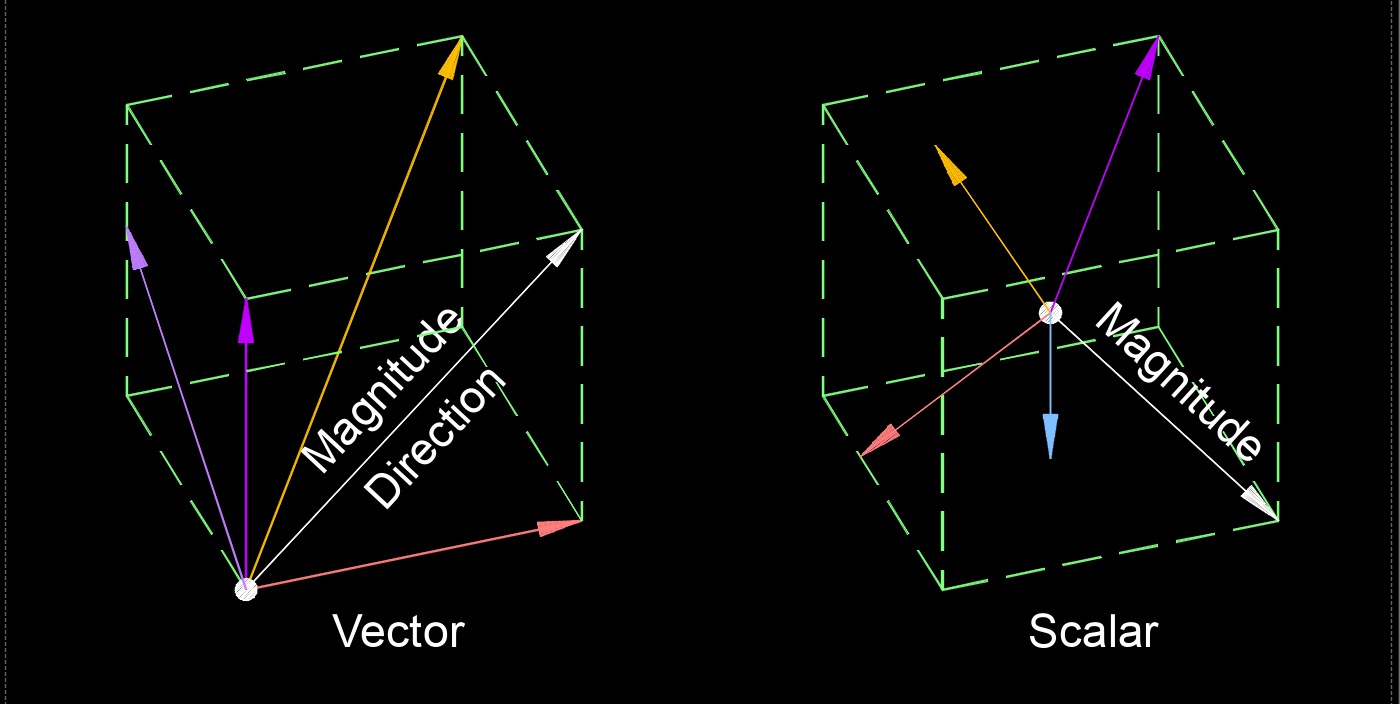vector and scalar 1