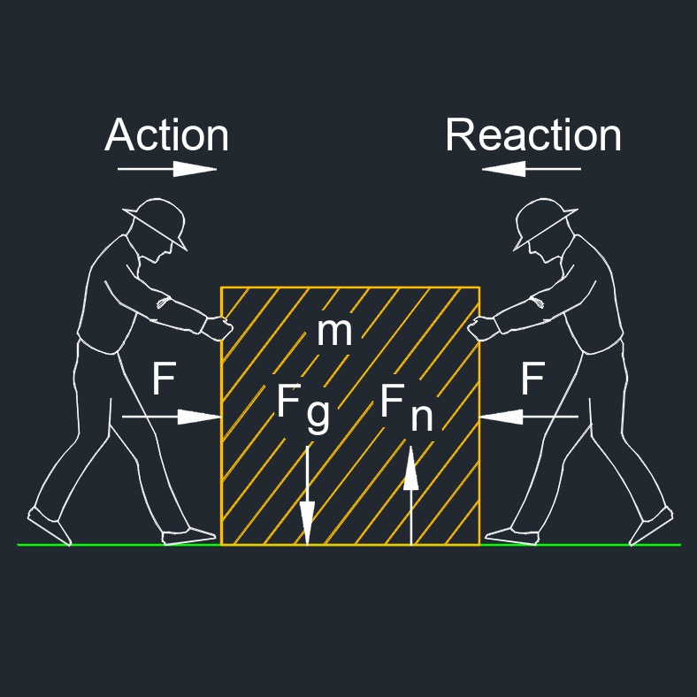 Action and Reaction Forces: Newton's Third Law of Motion