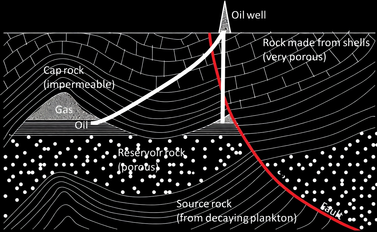 Petroleum Reservoir 1